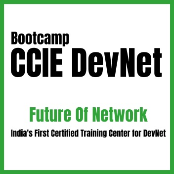 Devnet Training Online